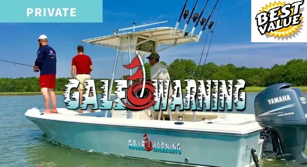 GaleWarning-Button 2 hilton head island fishing charter