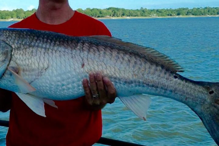 a man holding a fish swimming in a body of water