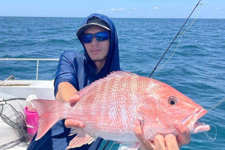 a person holding a fish in the water