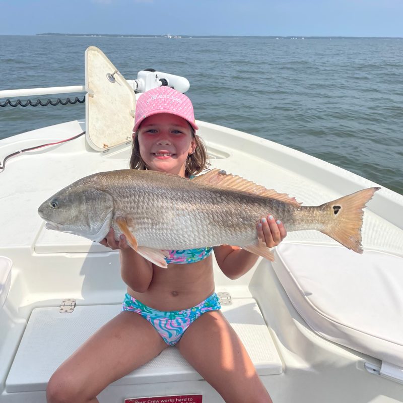 a person holding a fish on a boat in the water