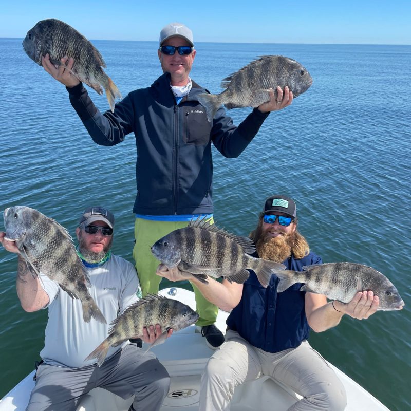 a turtle swimming under water next to a body of water