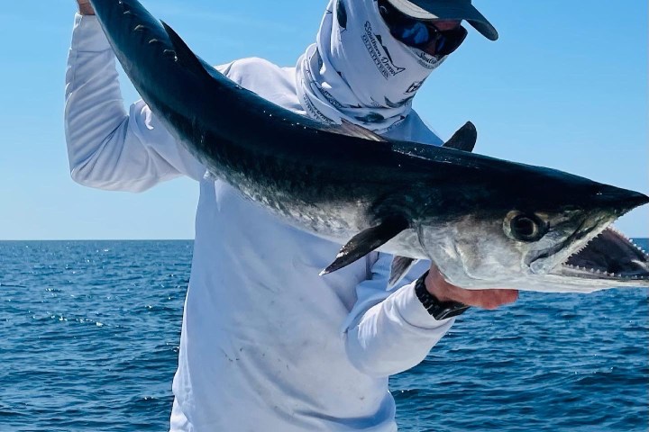 a person holding a fish swimming under water
