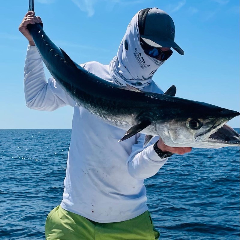 a person holding a fish swimming under water