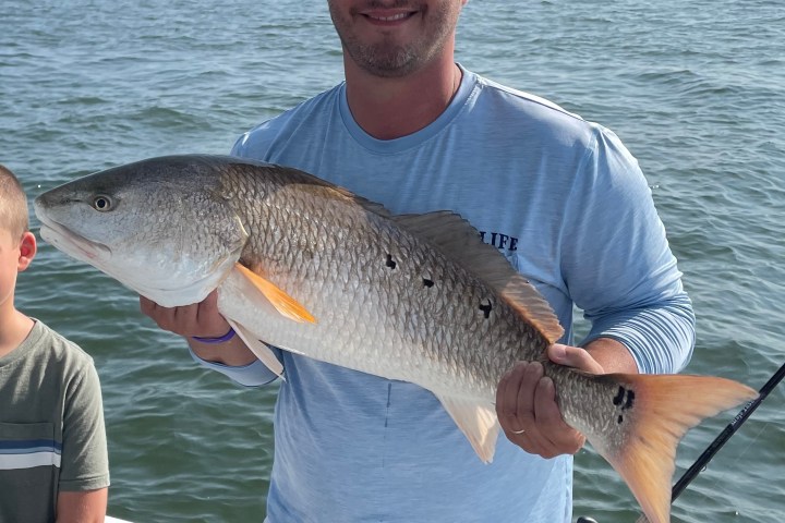 a man holding a redfish in the water